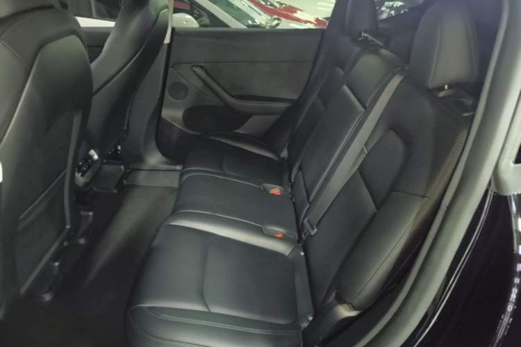 Used Tesla Model Y 2023 Rear-Wheel-Drive Version Left Rear Seat