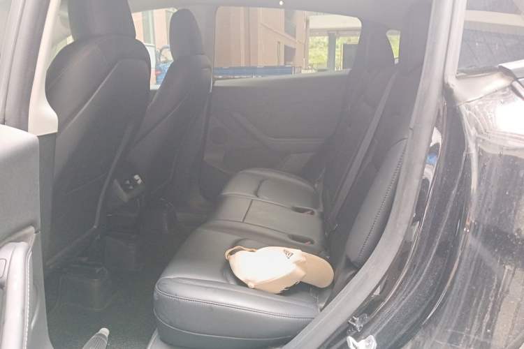 Used Tesla Model Y 2023 Long-Range All-Wheel-Drive Version Left Rear Seat
