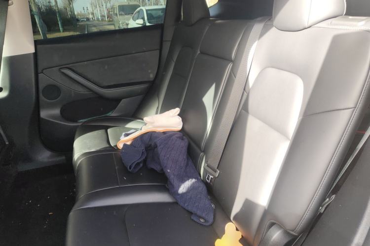 Used Tesla Model Y 2023 Rear-Wheel-Drive Version Left Rear Seat