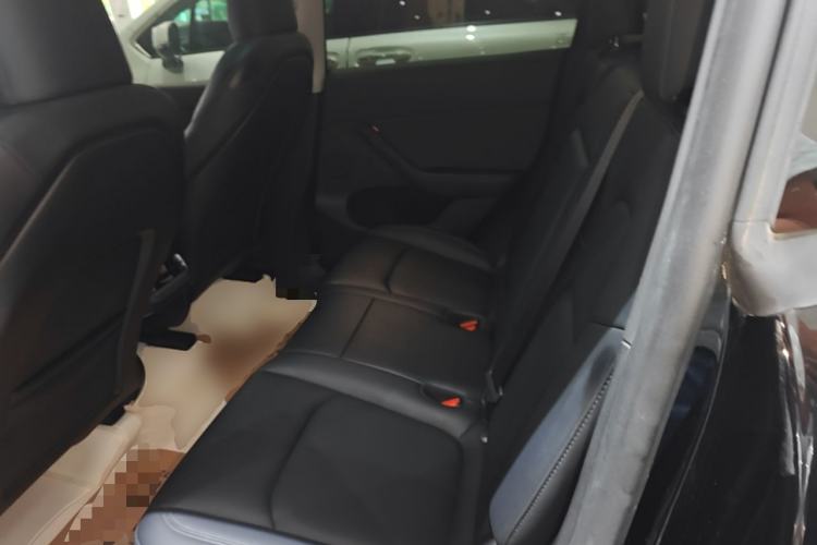 Used Tesla Model Y 2023 Rear-Wheel-Drive Version Left Rear Seat