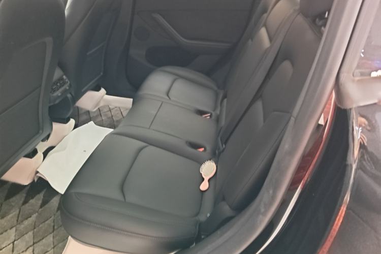 Used Tesla Model Y 2023 Long-Range All-Wheel-Drive Version Left Rear Seat