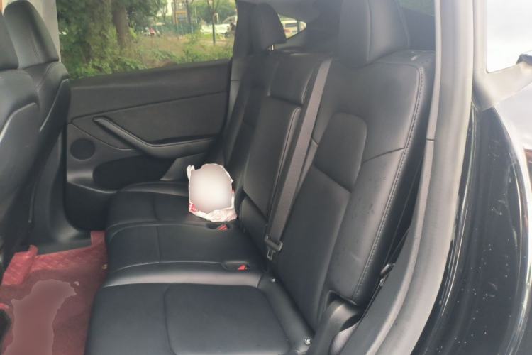 Used Tesla Model Y 2023 Long-Range All-Wheel-Drive Version Left Rear Seat