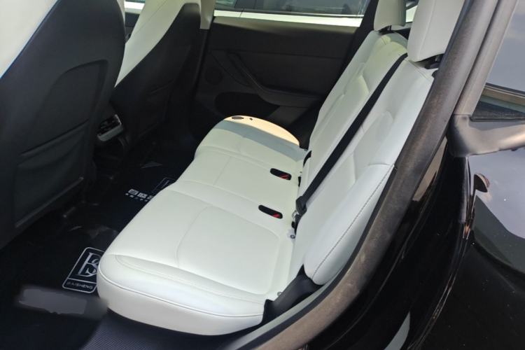 Used Tesla Model Y 2023 Long-Range All-Wheel-Drive Version Left Rear Seat