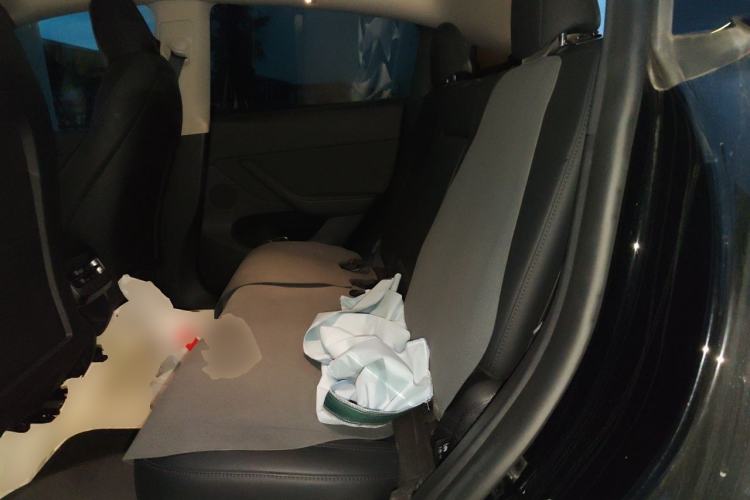 Used Tesla Model Y 2023 Rear-Wheel-Drive Version Left Rear Seat