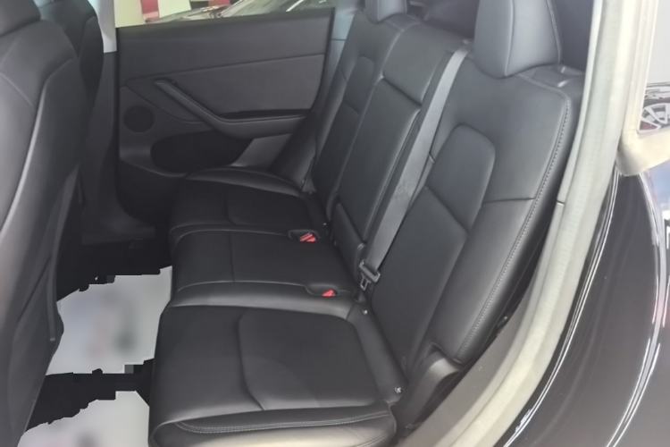 Used Tesla Model Y 2023 Long-Range All-Wheel-Drive Version Left Rear Seat