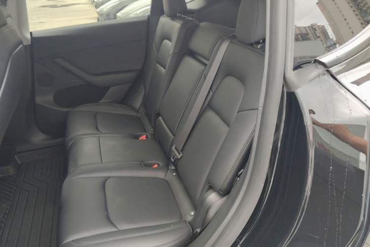 Used Tesla Model Y 2023 Rear-Wheel-Drive Version Left Rear Seat