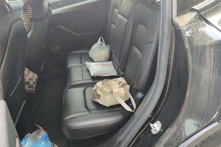Used Tesla Model Y 2023 Rear-Wheel-Drive Version Left Rear Seat