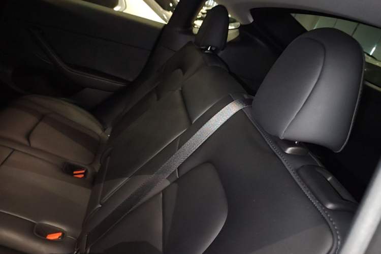Used Tesla Model Y 2023 Long-Range All-Wheel-Drive Version Left Rear Seat