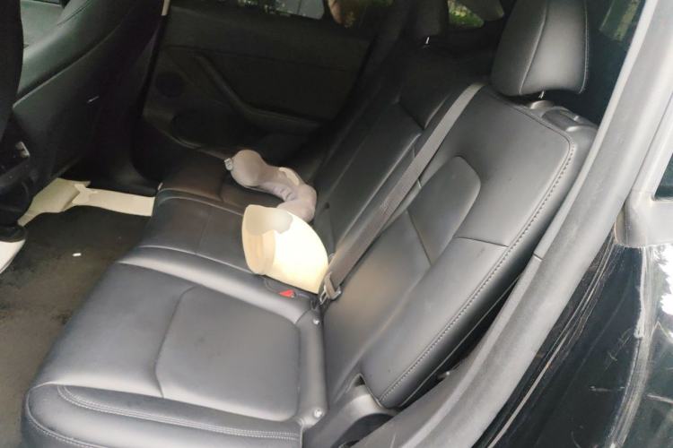 Used Tesla Model Y 2023 Long-Range All-Wheel-Drive Version Left Rear Seat