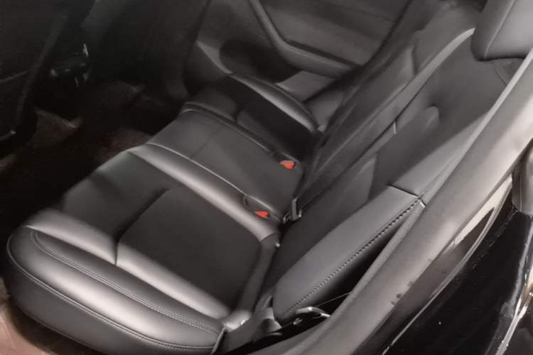 Used Tesla Model Y 2023 Long-Range All-Wheel-Drive Version Left Rear Seat