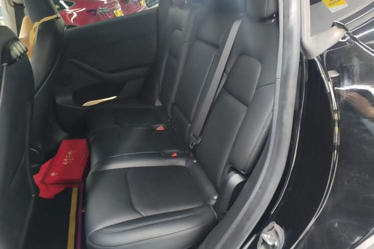 Used Tesla Model Y 2023 Rear-Wheel-Drive Version Left Rear Seat
