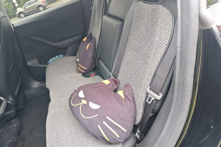 Used Tesla Model Y 2023 Rear-Wheel-Drive Version Left Rear Seat
