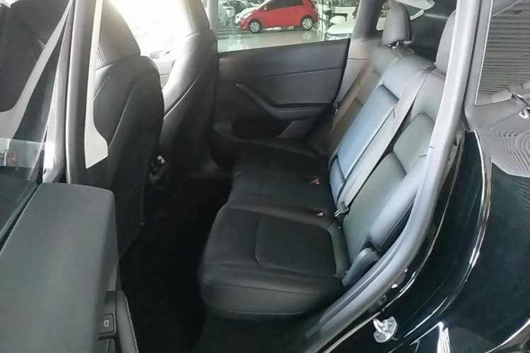 Used Tesla Model Y 2023 Rear-Wheel-Drive Version Left Rear Seat