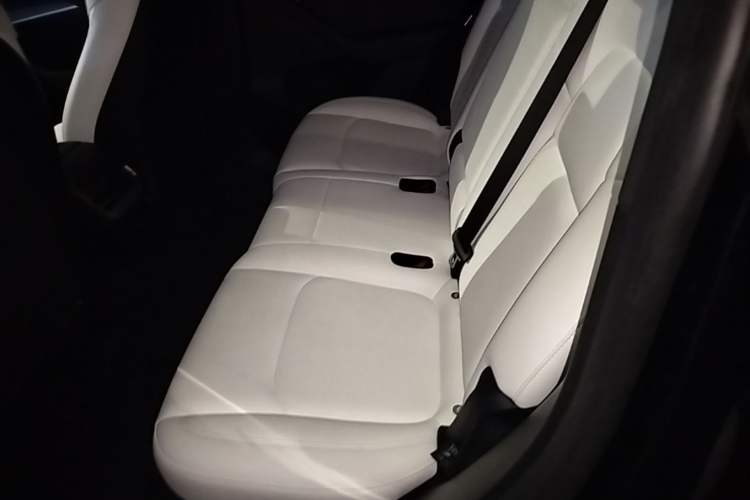 Used Tesla Model Y 2023 Rear-Wheel-Drive Version Left Rear Seat