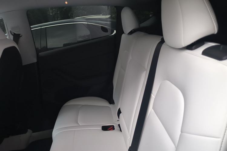 Used Tesla Model Y 2023 High-Performance All-Wheel-Drive Version Left Rear Seat