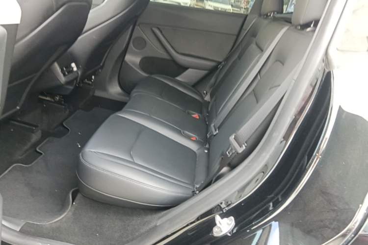 Used Tesla Model Y 2023 Rear-Wheel-Drive Version Left Rear Seat