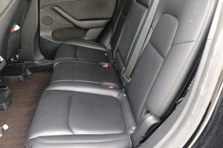 Used Tesla Model Y 2023 Rear-Wheel-Drive Version Left Rear Seat