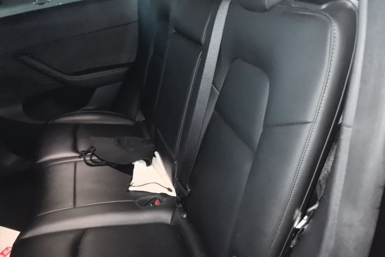 Used Tesla Model Y 2023 Rear-Wheel-Drive Version Left Rear Seat