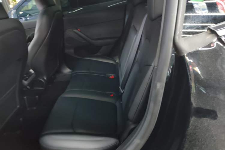 Used Tesla Model Y 2023 Rear-Wheel-Drive Version Left Rear Seat