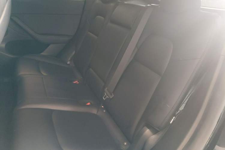 Used Tesla Model Y 2023 Rear-Wheel-Drive Version Left Rear Seat