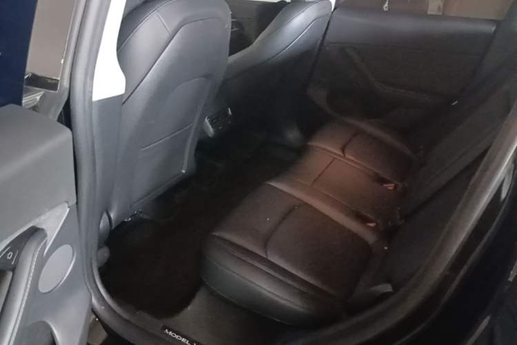 Used Tesla Model Y 2023 Long-Range All-Wheel-Drive Version Left Rear Seat
