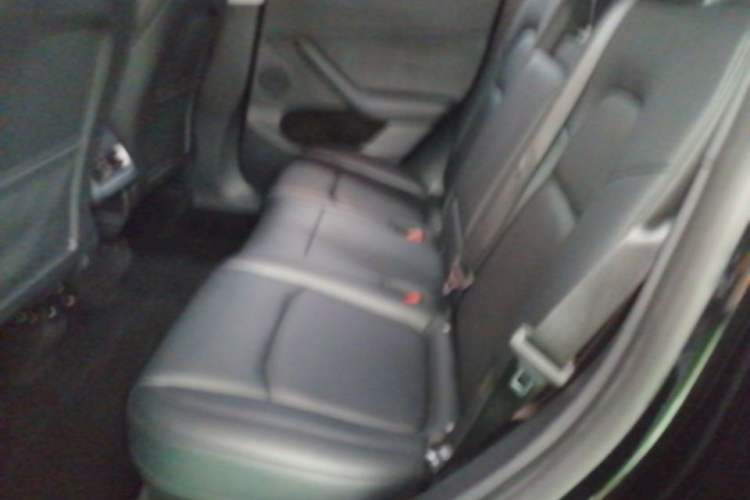 Used Tesla Model Y 2023 Long-Range All-Wheel-Drive Version Left Rear Seat