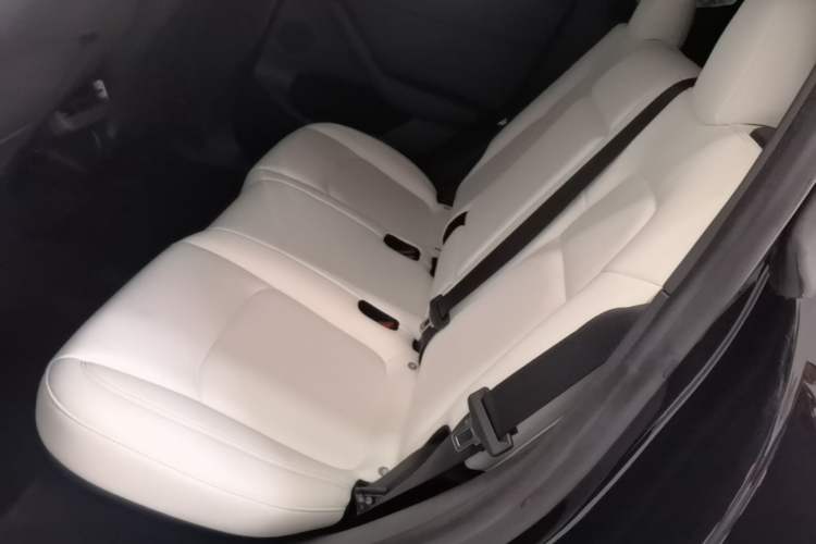 Used Tesla Model Y 2023 Rear-Wheel-Drive Version Left Rear Seat