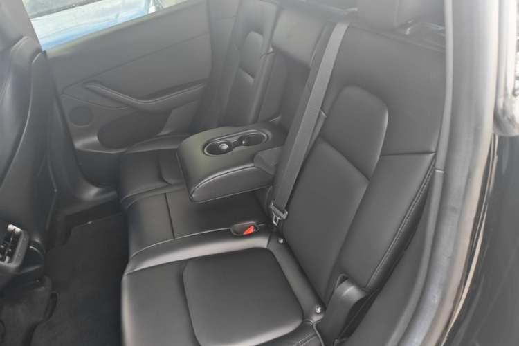 Used Tesla Model Y 2023 Long-Range All-Wheel-Drive Version Left Rear Seat
