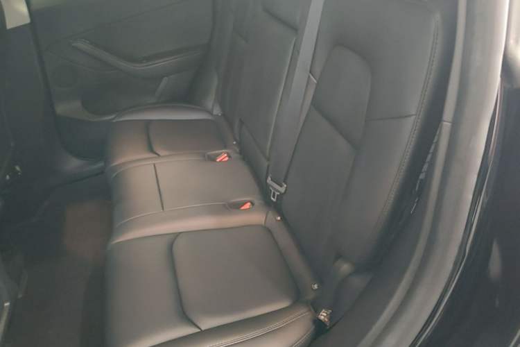 Used Tesla Model Y 2023 Rear-Wheel-Drive Version Left Rear Seat