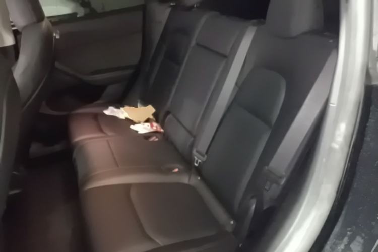 Used Tesla Model Y 2023 Rear-Wheel-Drive Version Left Rear Seat