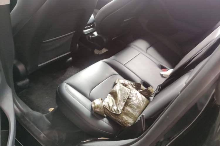 Used Tesla Model Y 2023 Rear-Wheel-Drive Version Left Rear Seat