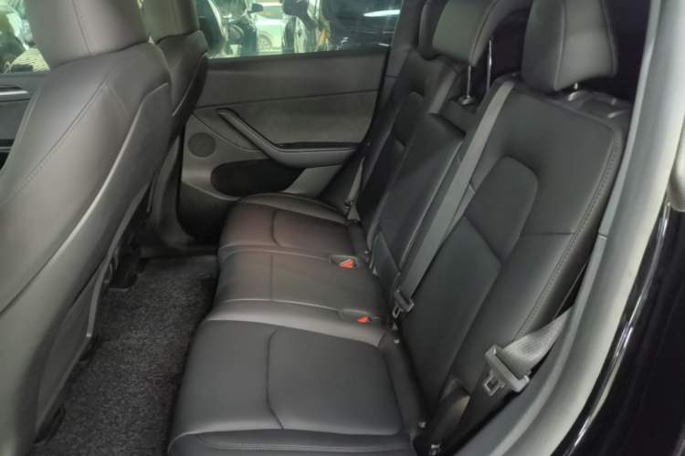 Used Tesla Model Y 2023 Long-Range All-Wheel-Drive Version Left Rear Seat