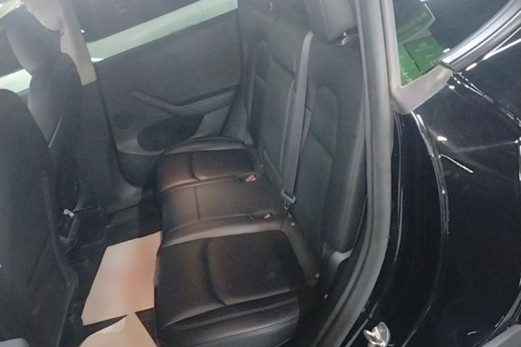 Used Tesla Model Y 2023 Rear-Wheel-Drive Version Left Rear Seat