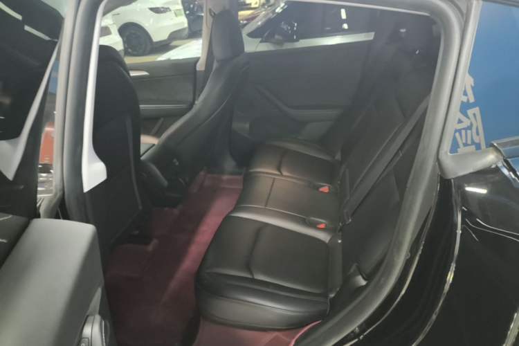 Used Tesla Model Y 2023 Long-Range All-Wheel-Drive Version Left Rear Seat