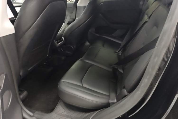Used Tesla Model Y 2023 Long-Range All-Wheel-Drive Version Left Rear Seat