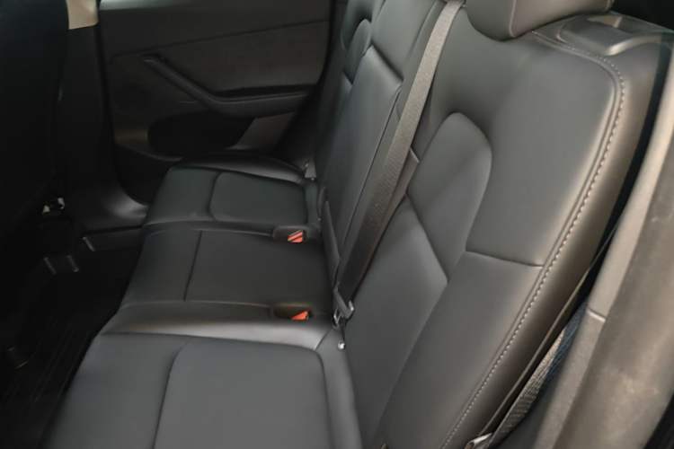 Used Tesla Model Y 2023 Rear-Wheel-Drive Version Left Rear Seat