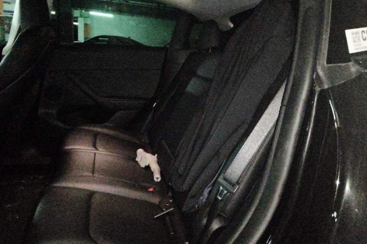 Used Tesla Model Y 2023 Rear-Wheel-Drive Version Left Rear Seat