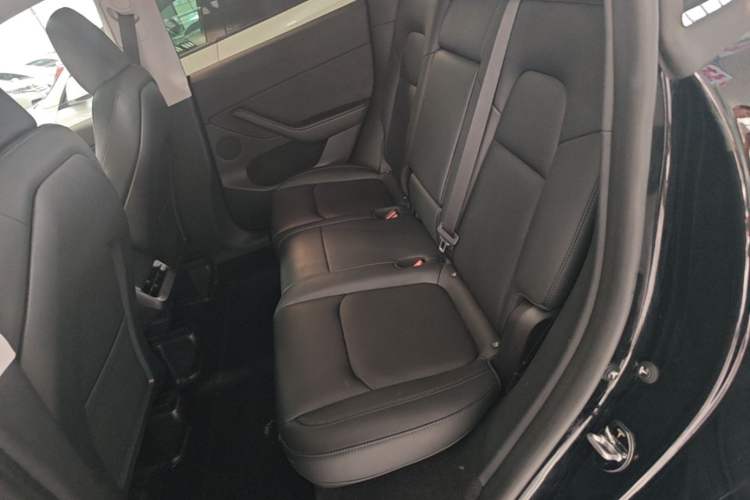 Used Tesla Model Y 2023 Rear-Wheel-Drive Version Left Rear Seat