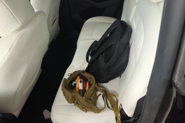 Used Tesla Model Y 2023 High-Performance All-Wheel-Drive Version Left Rear Seat
