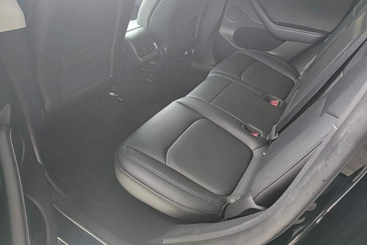 Used Tesla Model Y 2023 Rear-Wheel-Drive Version Left Rear Seat