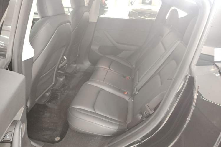 Used Tesla Model Y 2023 Rear-Wheel-Drive Version Left Rear Seat