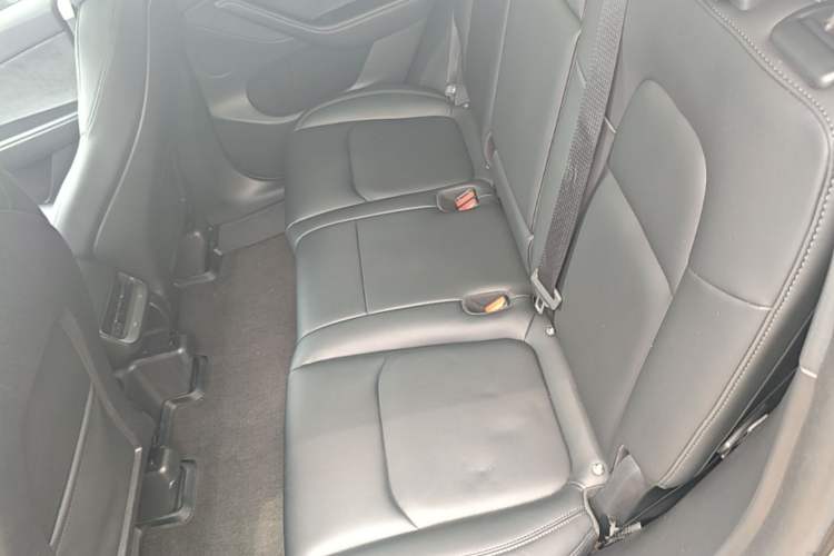 Used Tesla Model Y 2023 Long-Range All-Wheel-Drive Version Left Rear Seat