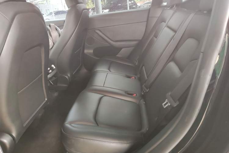 Used Tesla Model Y 2023 High-Performance All-Wheel-Drive Version Left Rear Seat