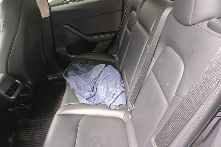 Used Tesla Model Y 2023 Rear-Wheel-Drive Version Left Rear Seat
