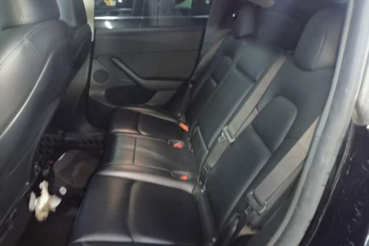 Used Tesla Model Y 2023 Rear-Wheel-Drive Version Left Rear Seat