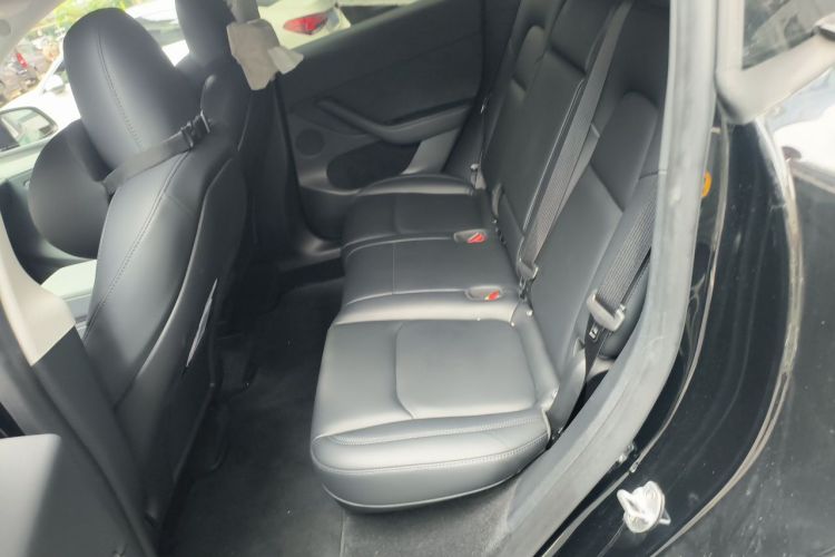 Used Tesla Model Y 2023 Rear-Wheel-Drive Version Left Rear Seat