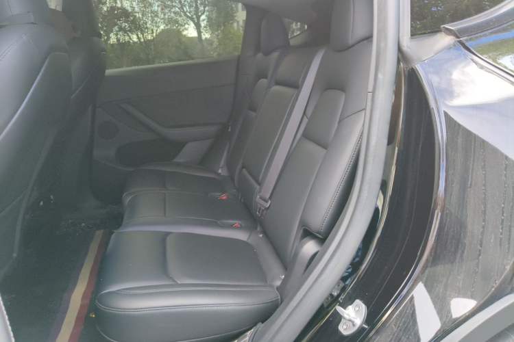Used Tesla Model Y 2023 Rear-Wheel-Drive Version Left Rear Seat