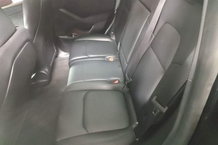 Used Tesla Model Y 2023 Rear-Wheel-Drive Version Left Rear Seat