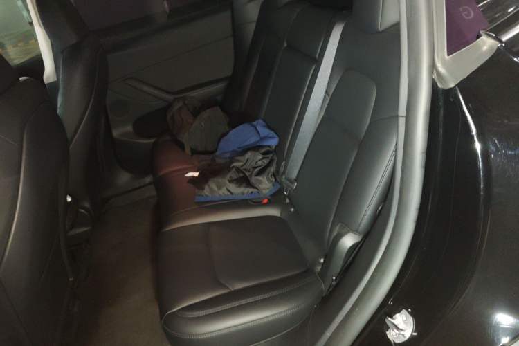 Used Tesla Model Y 2023 Rear-Wheel-Drive Version Left Rear Seat