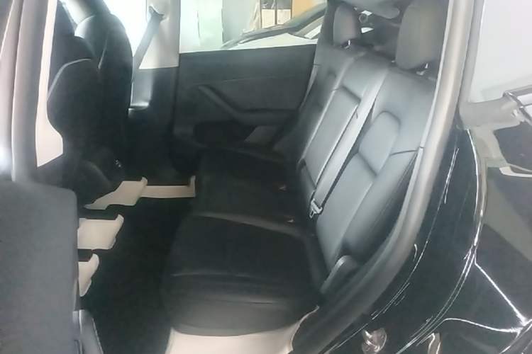 Used Tesla Model Y 2023 Long-Range All-Wheel-Drive Version Left Rear Seat